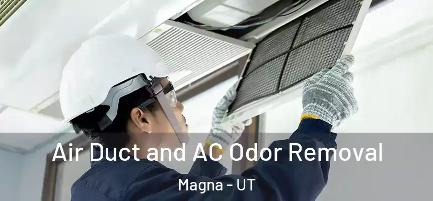  Air Duct and AC Odor Removal Magna - UT