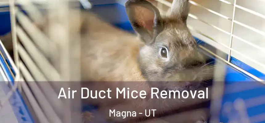  Air Duct Mice Removal Magna - UT