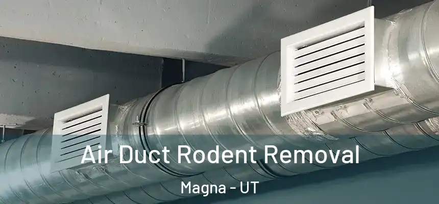  Air Duct Rodent Removal Magna - UT