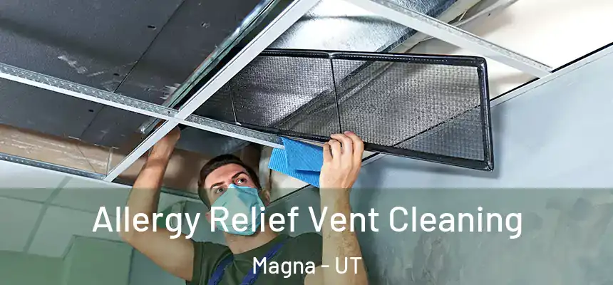  Allergy Relief Vent Cleaning Magna - UT