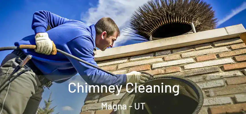  Chimney Cleaning Magna - UT