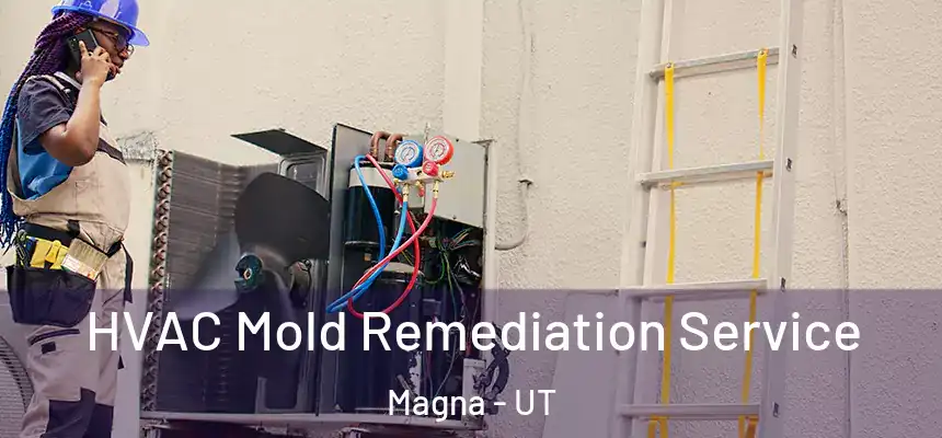 HVAC Mold Remediation Service Magna - UT