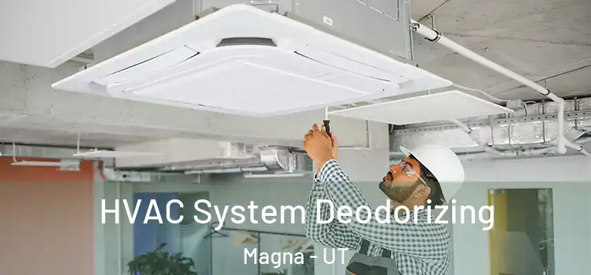 HVAC System Deodorizing Magna - UT
