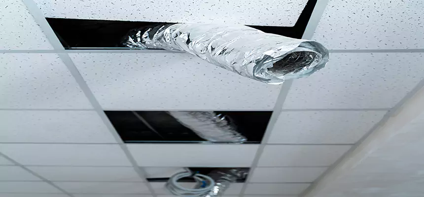 Our Air Duct Pet Hair Removal Services in Magna, UT