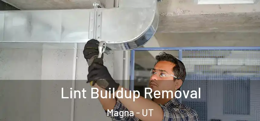 Lint Buildup Removal Magna - UT