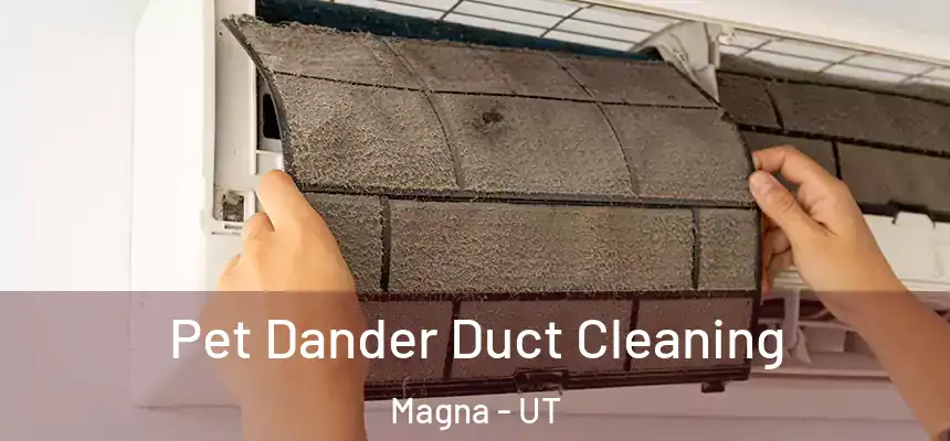  Pet Dander Duct Cleaning Magna - UT