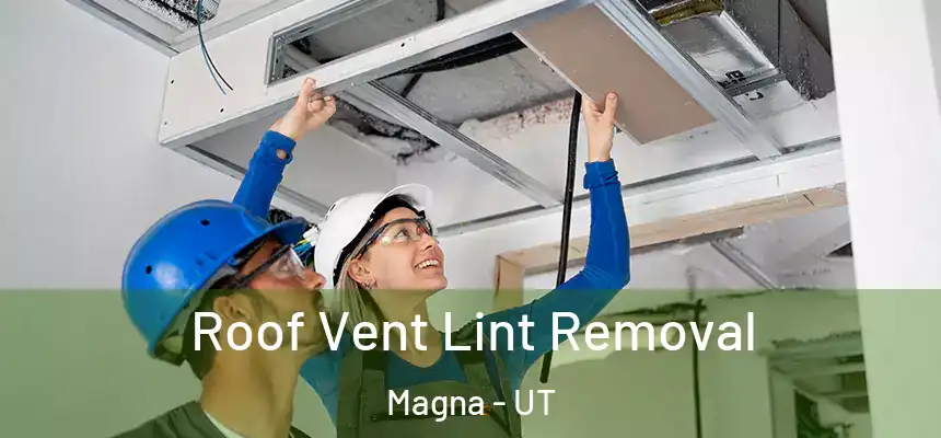  Roof Vent Lint Removal Magna - UT