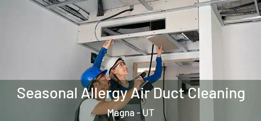 Seasonal Allergy Air Duct Cleaning Magna - UT
