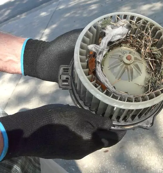 About Air Duct Rat Removal in Magna, UT