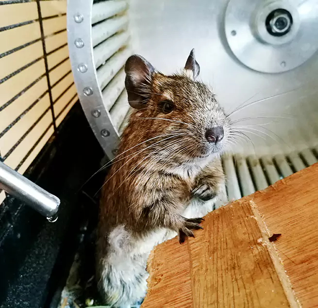 Why Homeowners & Businesses Trust Us Magna, UT?